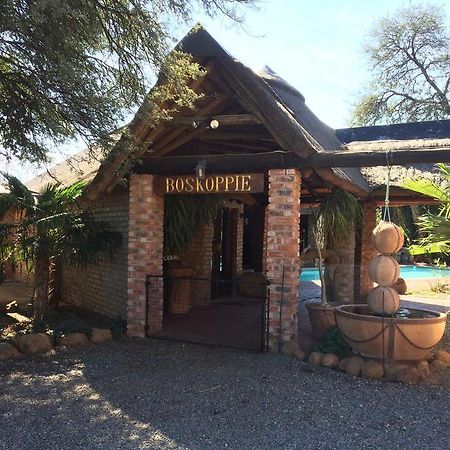 Boskoppie Lion & Tiger Reserve Kroonstad Εξωτερικό φωτογραφία