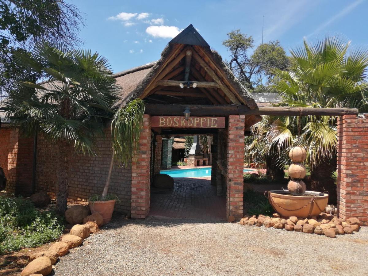 Boskoppie Lion & Tiger Reserve Kroonstad Εξωτερικό φωτογραφία