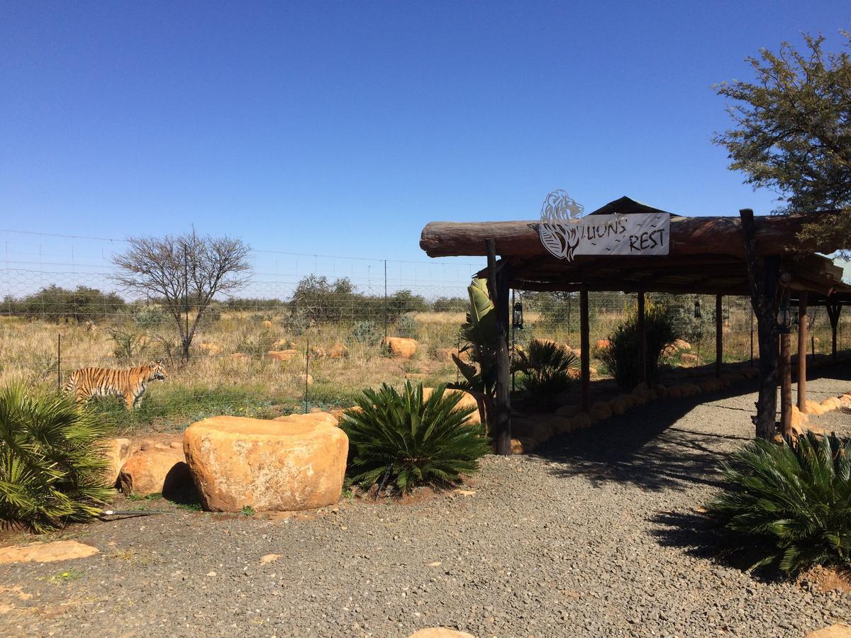 Boskoppie Lion & Tiger Reserve Kroonstad Εξωτερικό φωτογραφία