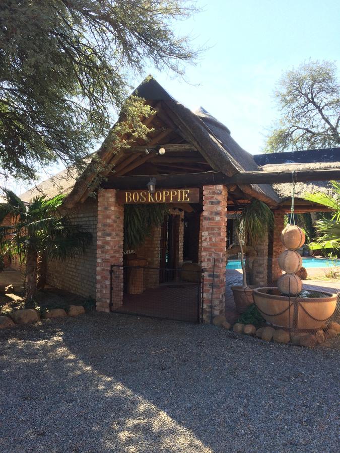 Boskoppie Lion & Tiger Reserve Kroonstad Εξωτερικό φωτογραφία